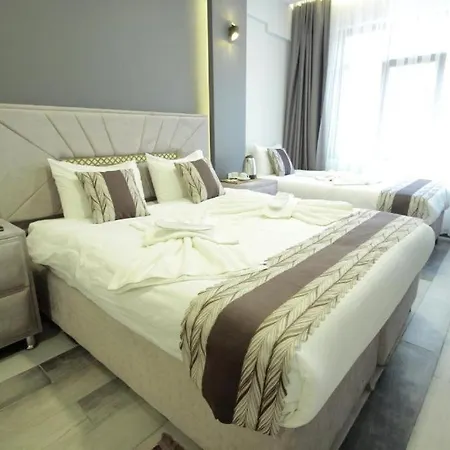 Guler Palas Hotel Vefa 3*