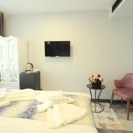 Guler Palas Hotel Vefa 3* Istanbul