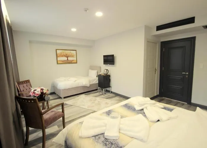 Guler Palas Hotel Vefa 3* 이스탄불