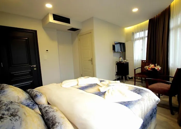 Guler Palas Hotel Vefa 3* 이스탄불