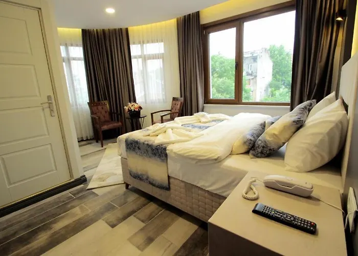 Guler Palas Hotel Vefa 호텔 이스탄불