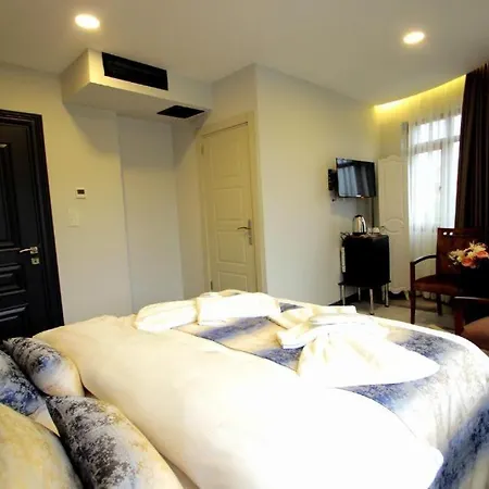 Guler Palas Hotel Vefa 3* Istanboel