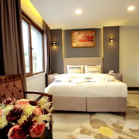 Guler Palas Hotel Vefa 3*