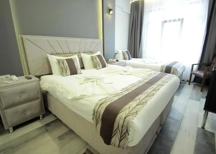 Guler Palas Hotel Vefa 3*