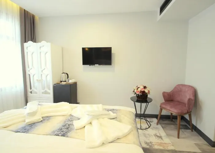 Guler Palas Hotel Vefa 3* Istambul