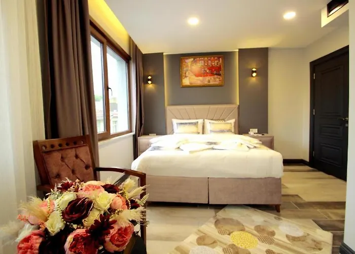 Guler Palas Hotel Vefa 3*